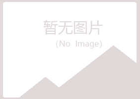 重庆江北女孩能源有限公司